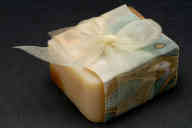 撮影・計測日：2011-06-09