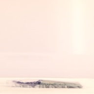 幅：11 (cm)×奥行：5.5 (cm)×高さ：1.4 (cm)／12 (g)，撮影・計測日：2000-12-08