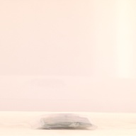 幅：11 (cm)×奥行：5.5 (cm)×高さ：1.4 (cm)／12 (g)，撮影・計測日：2000-12-08