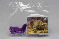 撮影・計測日：2011-07-01