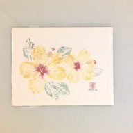 幅：28 (cm)×奥行：22 (cm)×高さ：0.7 (cm)／47 (g)，撮影・計測日：2000-12-27