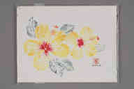 撮影・計測日：2011-06-13