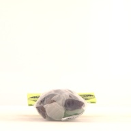 幅：8.3 (cm)×奥行：14 (cm)×高さ：4.0 (cm)／217 (g)，撮影・計測日：2000-12-26