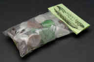 撮影・計測日：2011-06-07