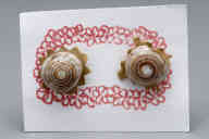 撮影・計測日：2011-07-28