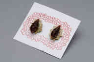 撮影・計測日：2011-07-28