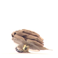 幅：3.1 (cm)×奥行：3.5 (cm)×高さ：1.9 (cm)／5 (g)，撮影・計測日：2000-12-27