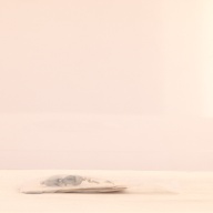 幅：0.9 (cm)×奥行：4.9 (cm)×高さ：0.8 (cm)／7 (g)，撮影・計測日：2000-12-25