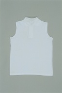 幅：55 (cm)×高さ：73 (cm)／200 (g)，撮影・計測日：2000-12-25