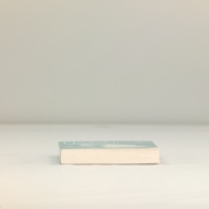 幅：14 (cm)×奥行：21 (cm)×高さ：2.4 (cm)／343 (g)，撮影・計測日：2001-01-05