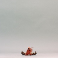 幅：11 (cm)×奥行：46 (cm)×高さ：7.1 (cm)／134 (g)，撮影・計測日：2002-12-13