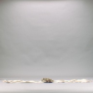 幅：12 (cm)×奥行：14 (cm)×高さ：4.6 (cm)／449 (g)，撮影・計測日：2005-11-02