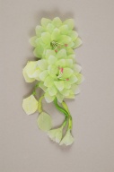 横：7.8 (cm)×厚み：1.9 (cm)×縦：17 (cm)／4 (g)，撮影・計測日：2005-03-16