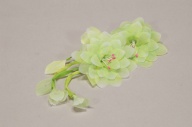 横：7.8 (cm)×厚み：1.9 (cm)×縦：17 (cm)／4 (g)，撮影・計測日：2005-03-16