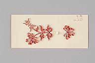 横：23 (cm)×厚み：0.5 (cm)×縦：10 (cm)／13 (g)，撮影・計測日：2019-07-03