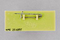 撮影・計測日：2021-01-20