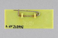 撮影・計測日：2021-01-20