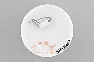 撮影・計測日：2021-01-20