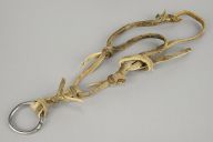 撮影・計測日：2015-11-20