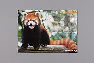 横：73 (cm)×厚み：0.1 (cm)×縦：52 (cm)／60 (g)，撮影・計測日：2017-10-20