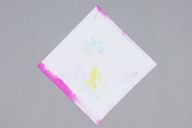 横：14 (cm)×縦：14 (cm)／0.7 (g)，撮影・計測日：2014-06-18