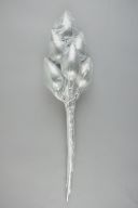 撮影・計測日：2014-08-14