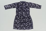 撮影・計測日：2015-06-15