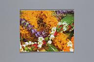 横：28 (cm)×厚み：0.3 (cm)×縦：22 (cm)／125 (g)，撮影・計測日：2017-09-29