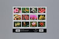 横：28 (cm)×厚み：0.3 (cm)×縦：22 (cm)／125 (g)，撮影・計測日：2017-09-29