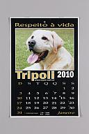 横：21 (cm)×厚み：0.1 (cm)×縦：31 (cm)／53 (g)，撮影・計測日：2017-10-03