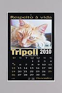 横：21 (cm)×厚み：0.1 (cm)×縦：31 (cm)／53 (g)，撮影・計測日：2017-10-03