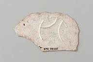 横：7.4 (cm)×厚み：0.1 (cm)×縦：4.6 (cm)／20 (g)，撮影・計測日：2019-05-17