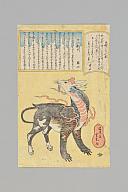 横：24 (cm)×厚み：0.1 (cm)×縦：37 (cm)／4 (g)，撮影・計測日：2025-01-08