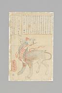 横：24 (cm)×厚み：0.1 (cm)×縦：37 (cm)／4 (g)，撮影・計測日：2025-01-08