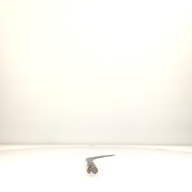 幅：15 (cm)×奥行：92 (cm)×高さ：3.5 (cm)／1.17 (kg)，撮影・計測日：1998-02-18