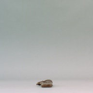 幅：29 (cm)×奥行：4.3 (cm)×高さ：2.2 (cm)／120 (g)，撮影・計測日：2002-11-15