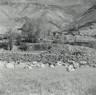 X0217268